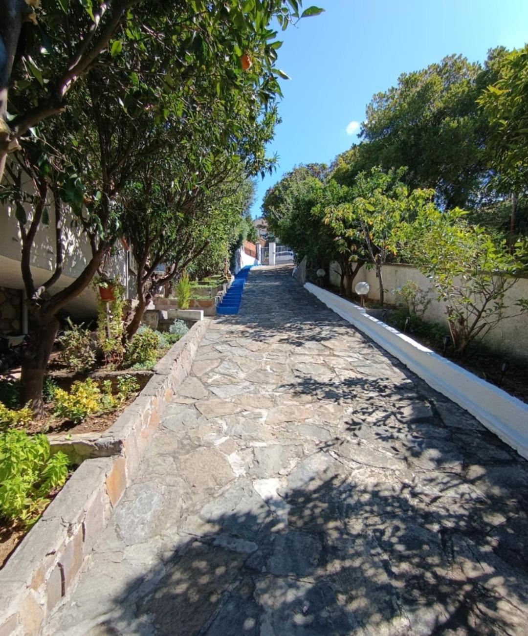 مونتيانو B&B Terramare المظهر الخارجي الصورة