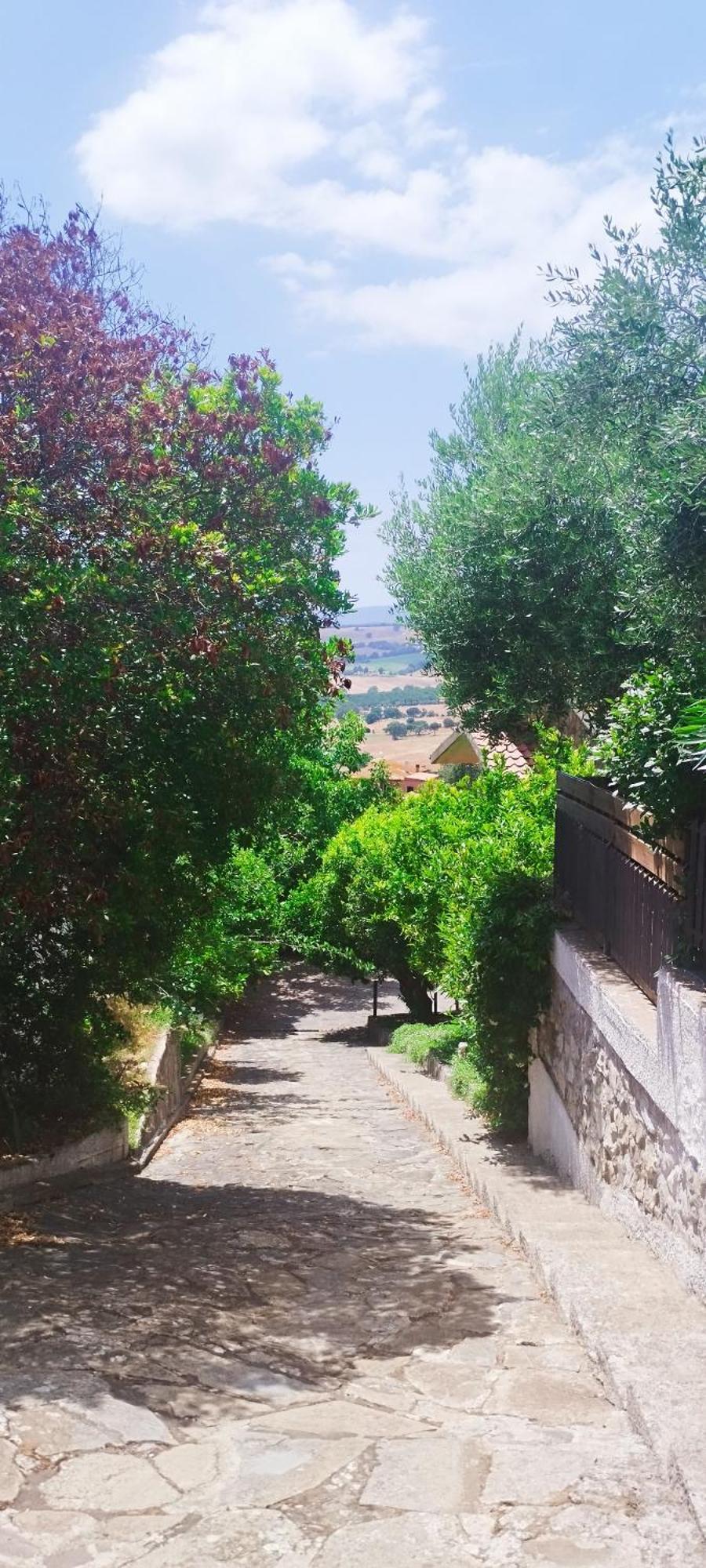 مونتيانو B&B Terramare المظهر الخارجي الصورة